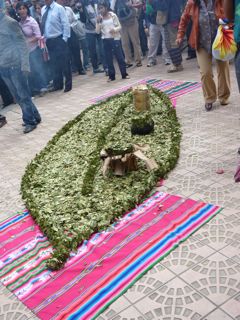 Massive coca leaf made out of coca leaves