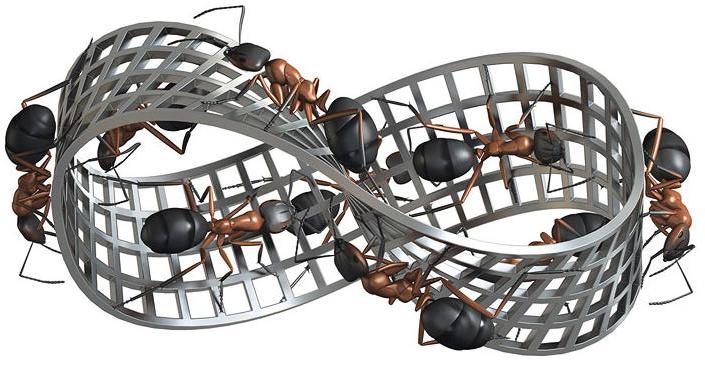 Ant climb on Möbius strip in image inspired by Robert Lea inspired by MC Escher