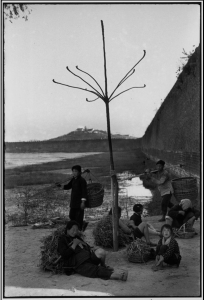 Peasants rest at the foot of the ancient walls of Nanking after collecting lotus roots for fuel. In the background: Jade Mountain, and the lake where sailors received their training during the days of the Ming Emperors. 